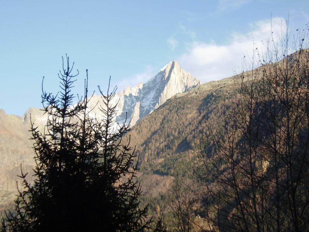 Studio Les Drus / Studio Du Brevent Chamonix Quarto foto