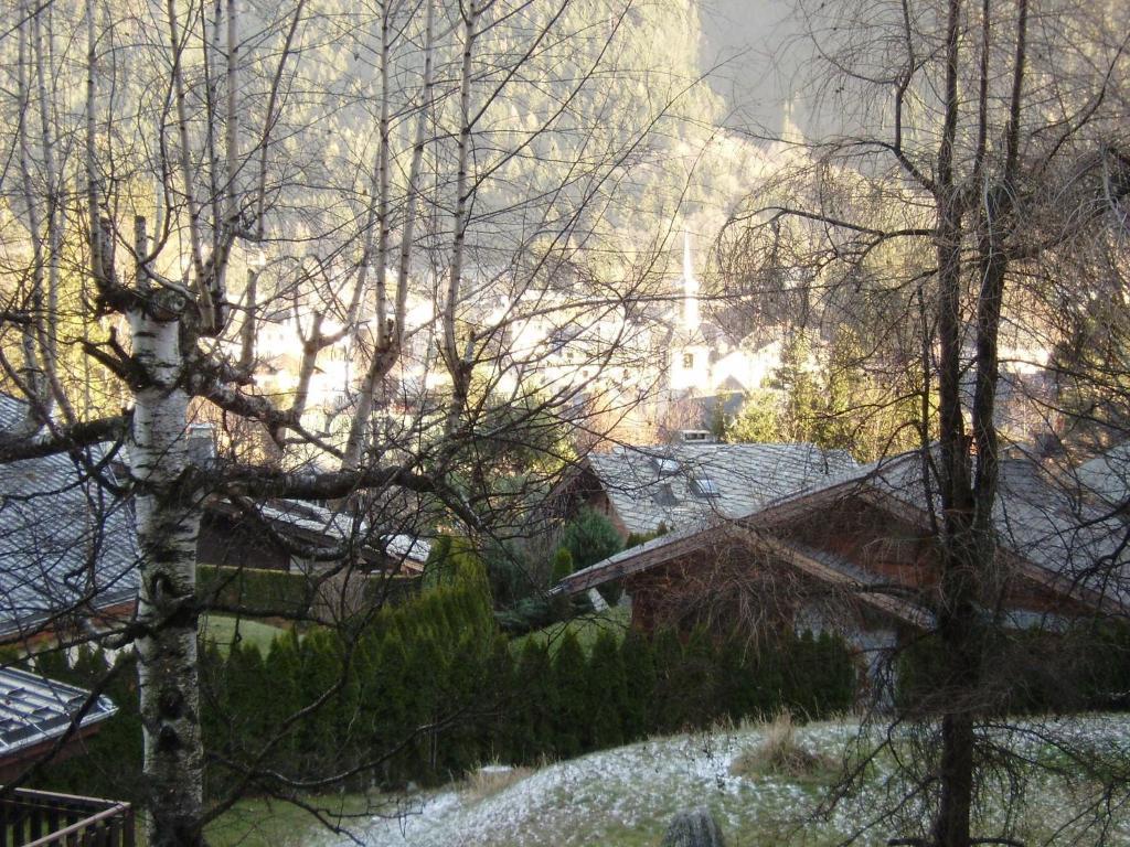 Studio Les Drus / Studio Du Brevent Chamonix Quarto foto